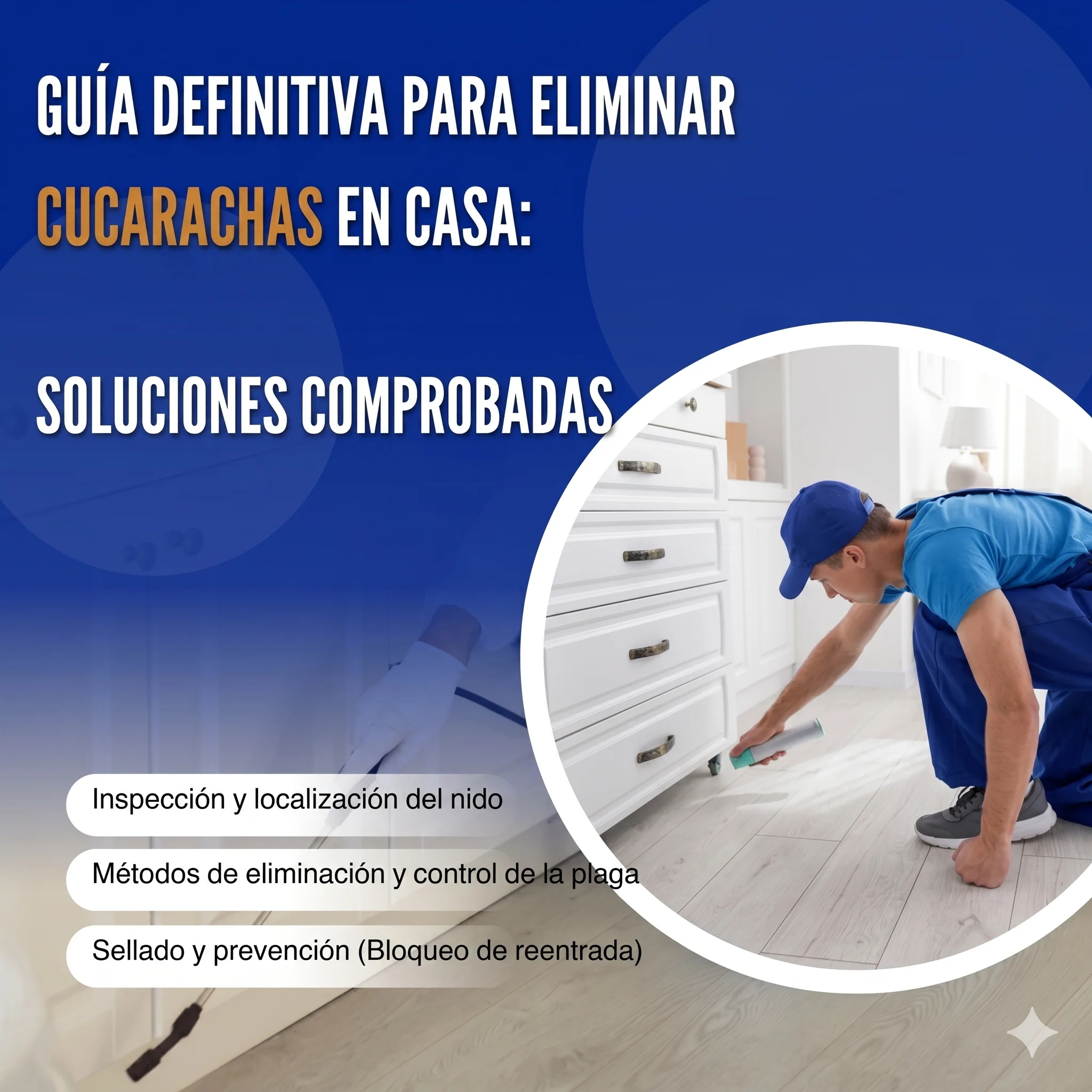 Guía Definitiva para Eliminar Cucarachas en Casa: Soluciones Comprobadas